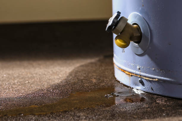 Best Ceiling water damage repair  in Emory, VA