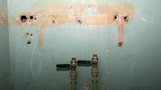 Best Emergency water damage restoration  in Emory, VA