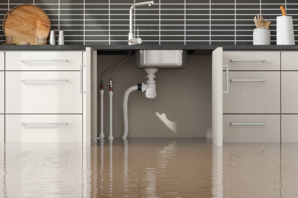 Best Local water damage restoration  in Emory, VA